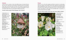 Load image into Gallery viewer, Bricks 'N Blooms Guide / Beautiful & Easy-Care Gardening