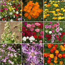 Load image into Gallery viewer, Scatter Garden - Fragrant Flower