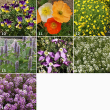 Load image into Gallery viewer, Scatter Garden - Fragrant Flower