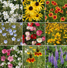 Load image into Gallery viewer, Garden Sprinkles - Choose Variety