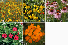 Load image into Gallery viewer, Garden Sprinkles - Choose Variety