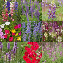 Load image into Gallery viewer, Garden Sprinkles - Choose Variety