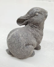 Load image into Gallery viewer, Miniature Bunny - Choose Style