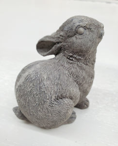 Miniature Bunny - Choose Style