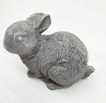 Load image into Gallery viewer, Miniature Bunny - Choose Style