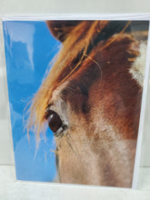 Load image into Gallery viewer, Notecards by Cheryl Van Stockum - Choose Your Favorite Photos