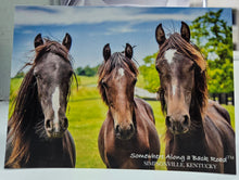 Load image into Gallery viewer, Postcards by Cheryl Van Stockum - Choose Your Favorite Photos