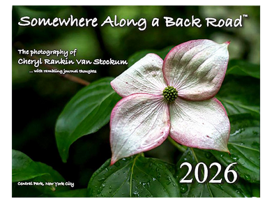 2026 Calendar by Cheryl Van Stockum