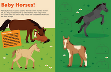 Load image into Gallery viewer, Horses - Pop Out Book