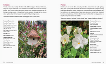 Load image into Gallery viewer, Bricks &#39;N Blooms Guide / Beautiful &amp; Easy-Care Gardening