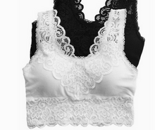 Load image into Gallery viewer, Padded Lace Bralette - Also in Plus Sizes