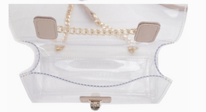 Clear Structured Purse - Choose Strap Colors