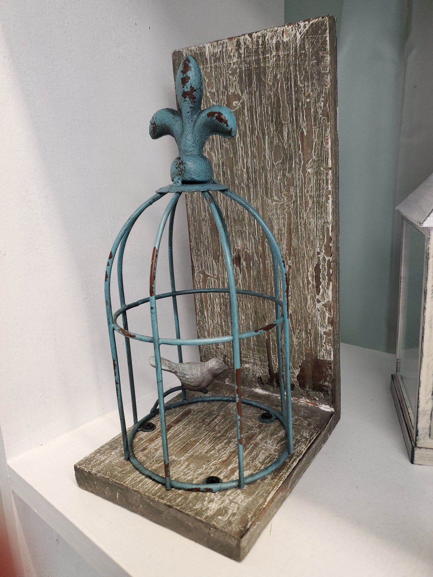 Bird Cage Display/Bookend
