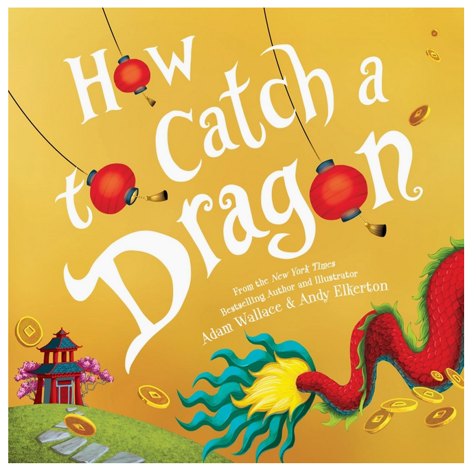 How To Catch A Dragon Hardcover Book