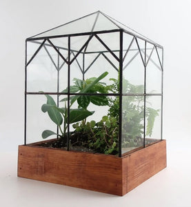 small glass plant house Sir Hooker House Terrarium – Impress Boutique & Printing