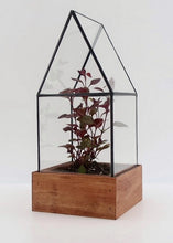 Load image into Gallery viewer, Small Terrarium Cape Cod Style