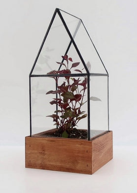 Small Terrarium Cape Cod Style