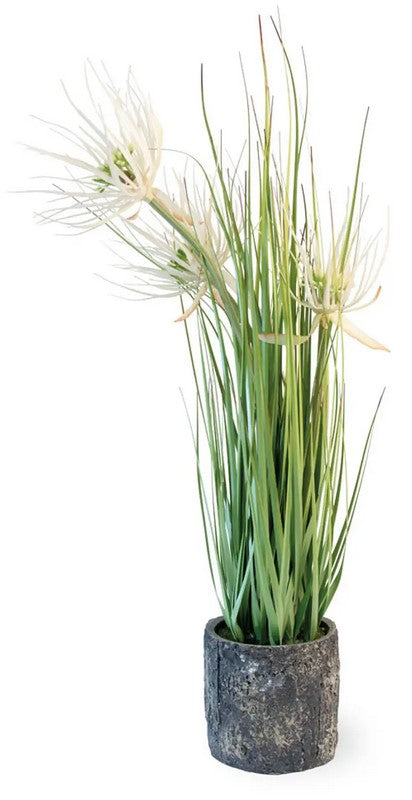Tall Sunny Flower Grass